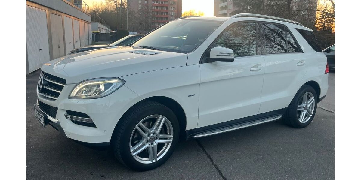 Mercedes-Benz ML 250 176.500 km 18.900 &euro; Reutlingen 72760