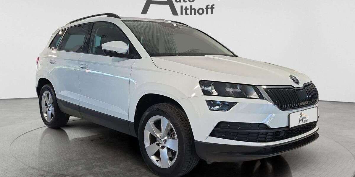 Skoda Karoq 101.500 km 22.440 &euro; Stuttgart 70195