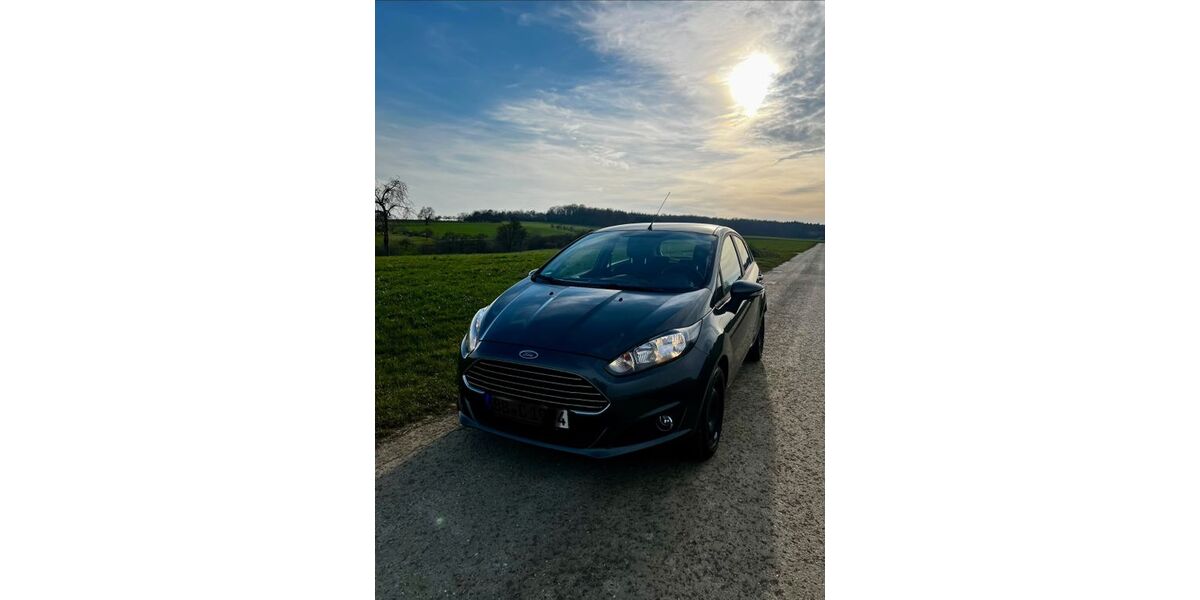Ford Fiesta 95.000 km 6.000 &euro; Herrenberg 71083