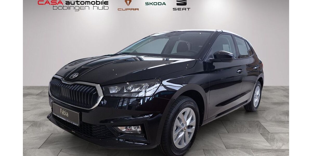 Skoda Fabia 1.100 km 19.690 &euro; Böblingen 71034