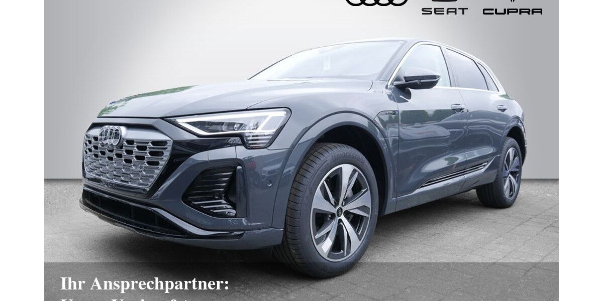 Audi Q8 e-tron 22.500 km 41.790 &euro; Bietigheim-Bissingen 74321