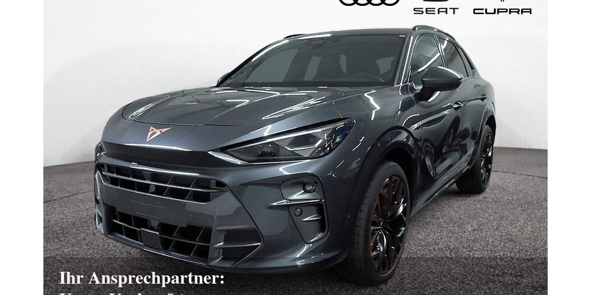 Cupra Terramar 3.500 km 44.850 &euro; Bietigheim-Bissingen 74321